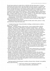 www.speros.lt